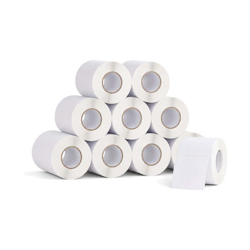 10 Rolos Etiqueta 100×100 Térmica Adesiva