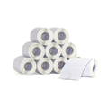 10 Rolos Etiqueta 100x150 Papel Couchê Adesiva S/ Serrilha