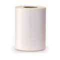 10 Rolos Etiqueta 100x30 Papel Couche Adesiva