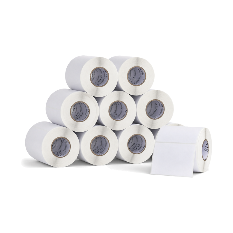 10 Rolos Etiqueta 80x60 Térmica Adesiva