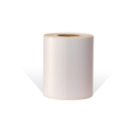 10 Rolos Etiqueta 100x40 Papel Couche Adesiva